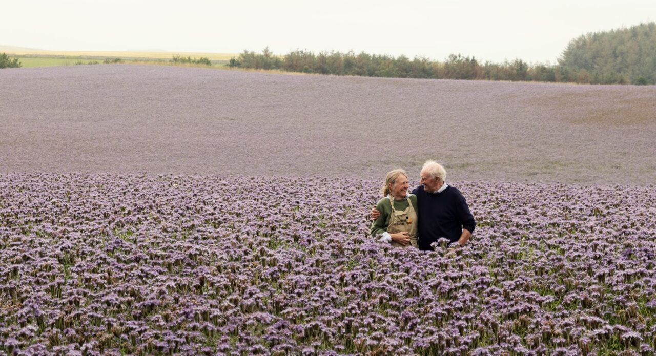 Carfrae Farm Wildflower Meadow with lady and man in sea field of purple flowers