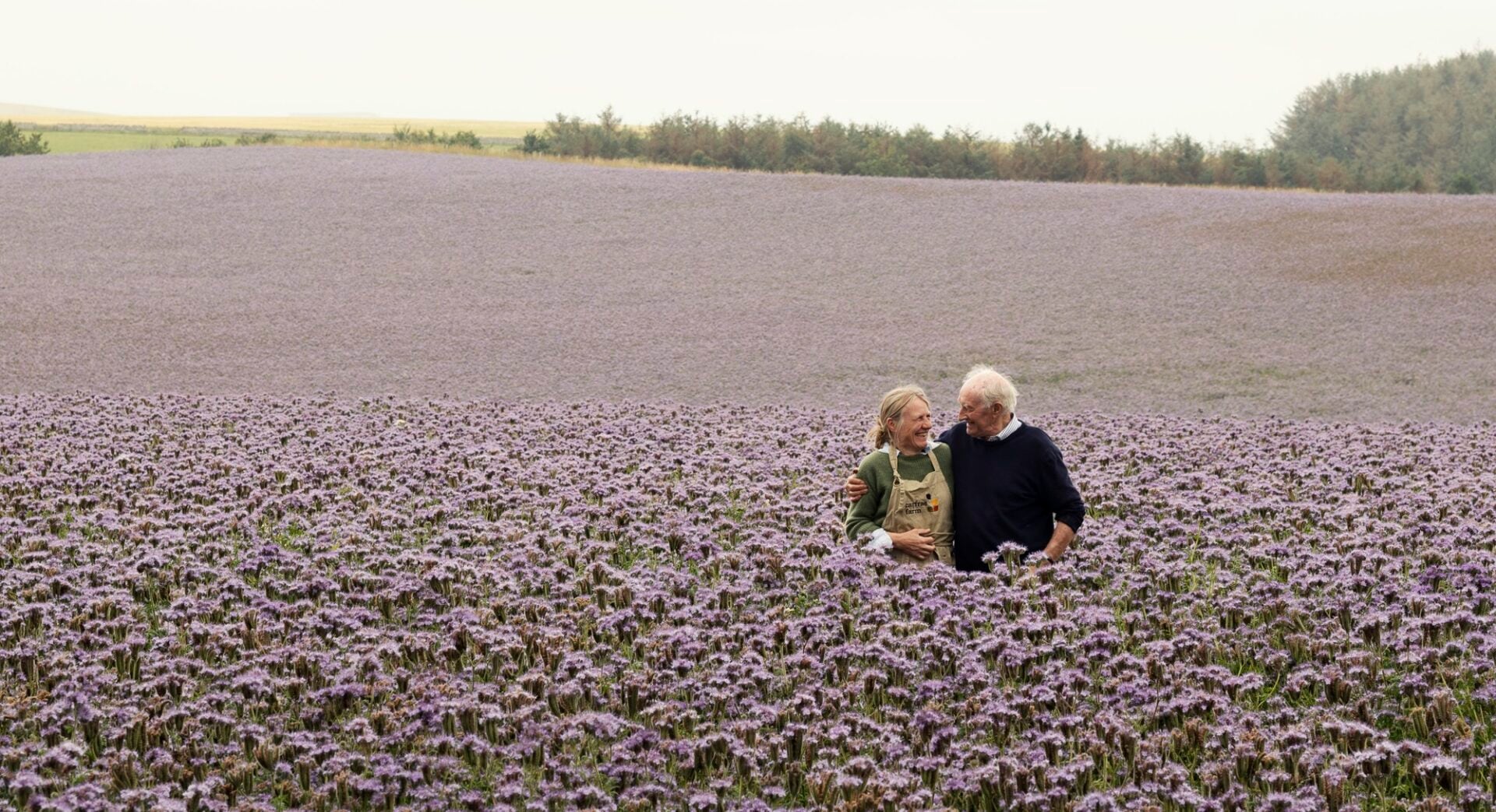 Carfrae Farm Wildflower Meadow with lady and man in sea field of purple flowers