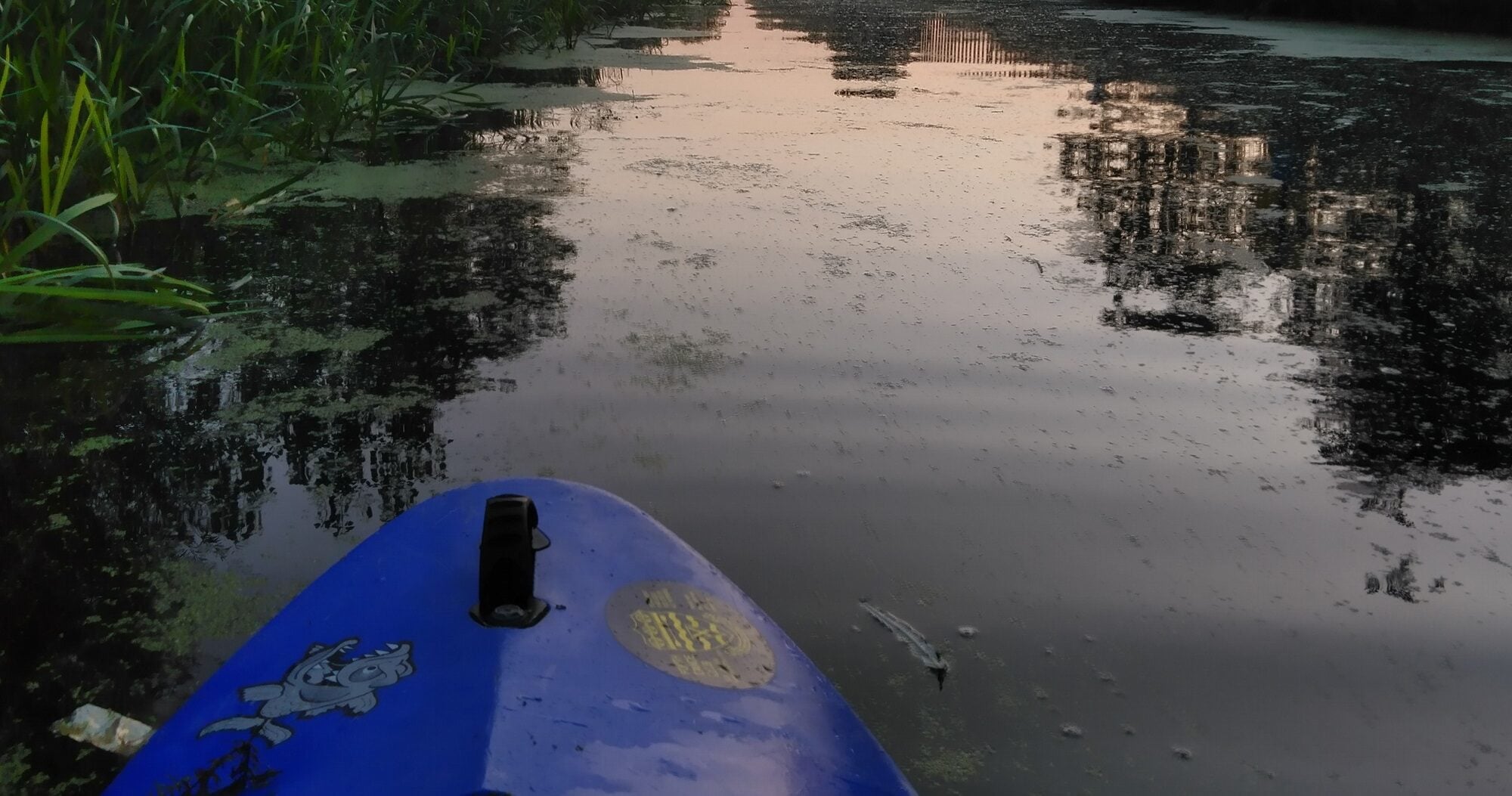 View from a Kayak