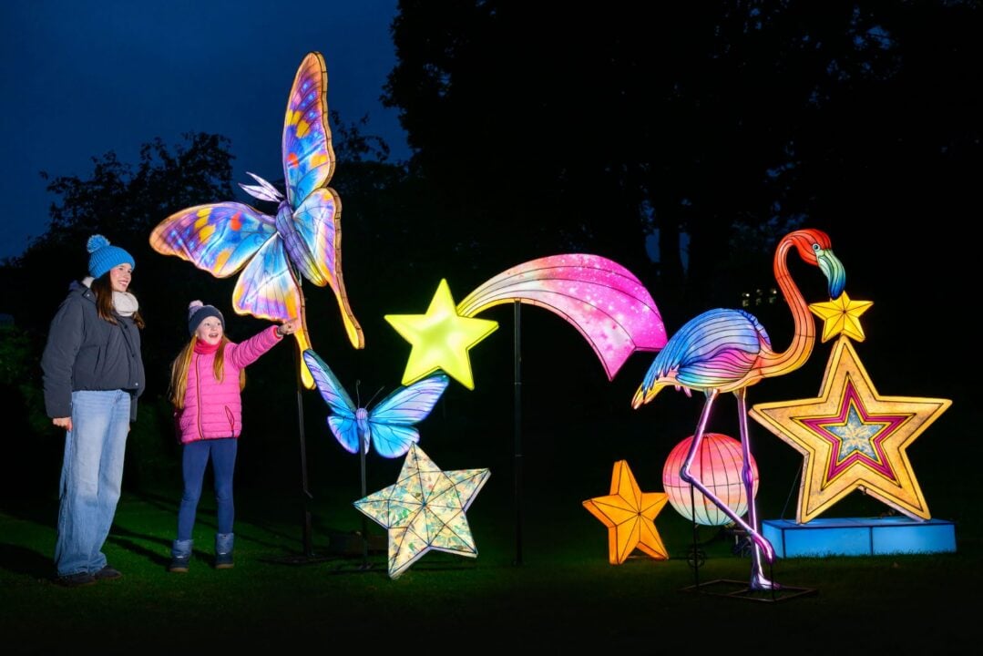 A woman and young girl looking at an outdoor display of illuminated displays, including a butterfly and a flamingo.