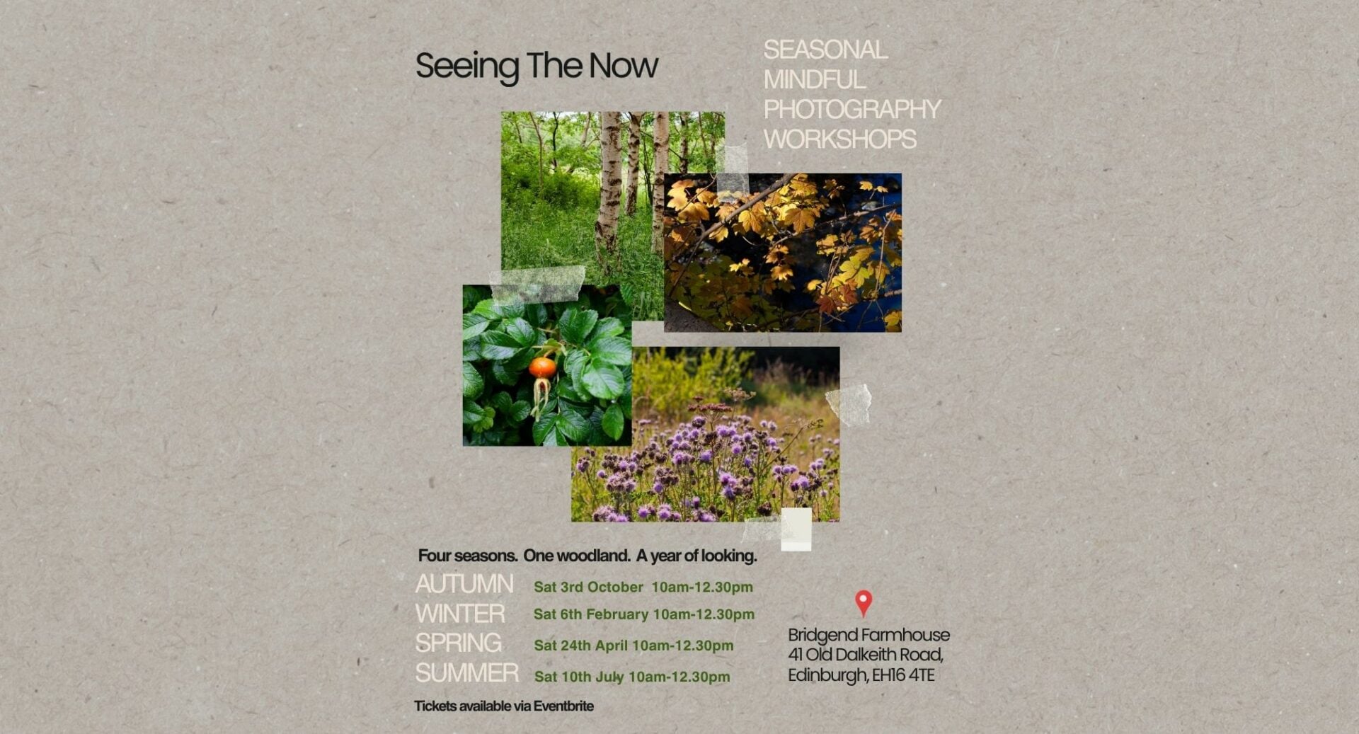 A poster image for Seeing the now - Mindful Photography, featuring 4 images of nature at different times in the year.