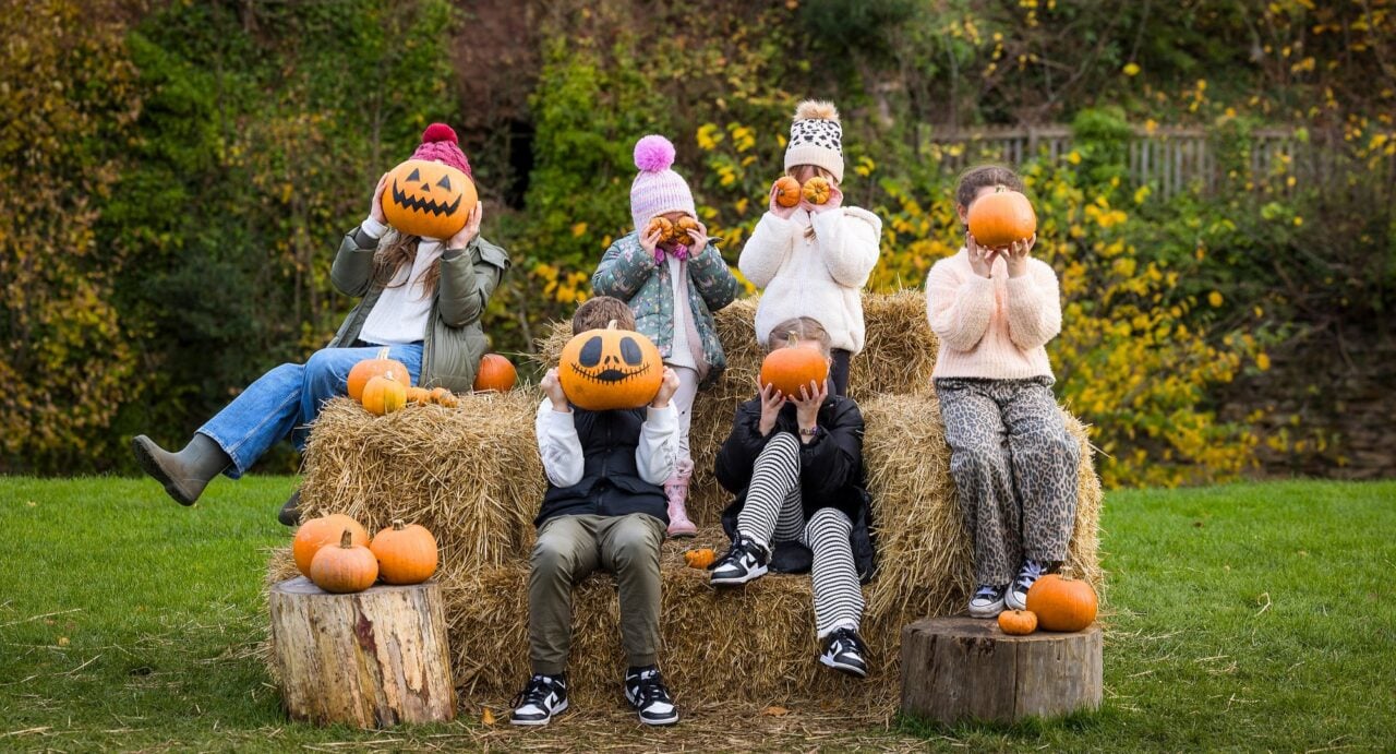 6 children sitting on bales of hale, holding pumpkins in front of their faces.