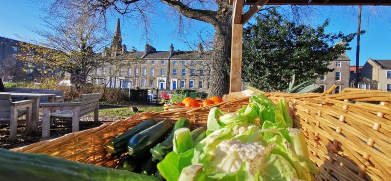 Fruit and veg stall on a sunny Sunday market day,© Earth in Common
