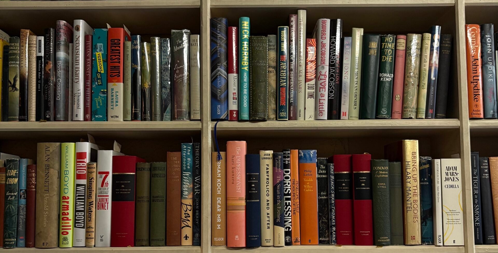 A couple of shelves full of books