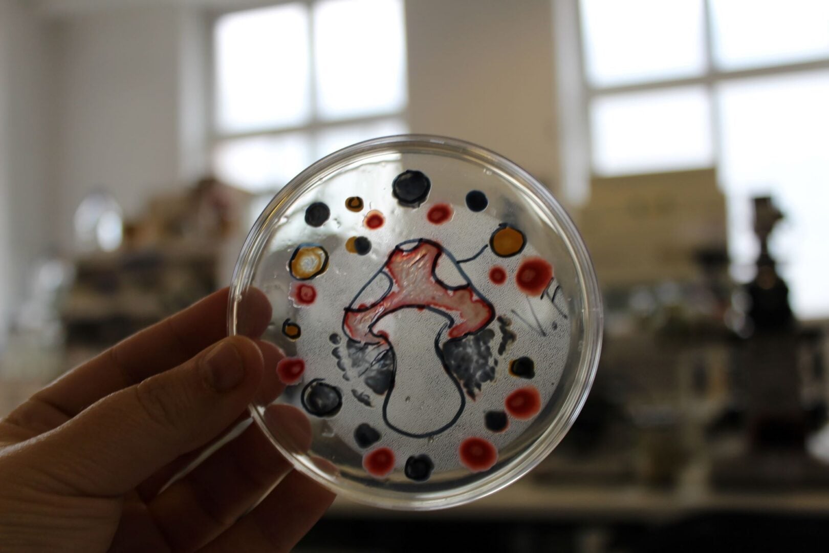 A glass petri glass dish with an image of a mushroom painted within it.