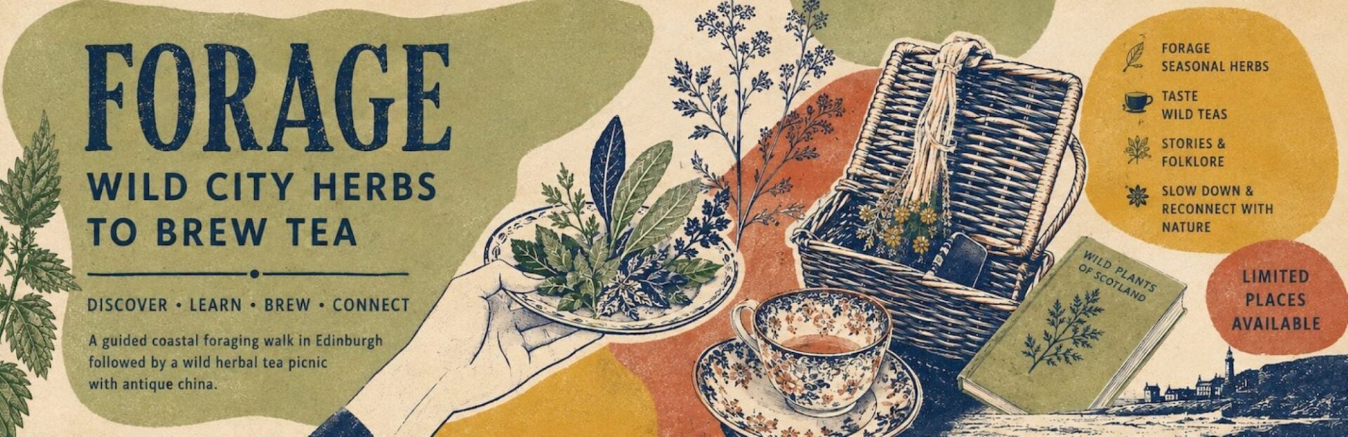A poster image for Forage, Brew & Sip: A Wild Tea Walk in Edinburgh.