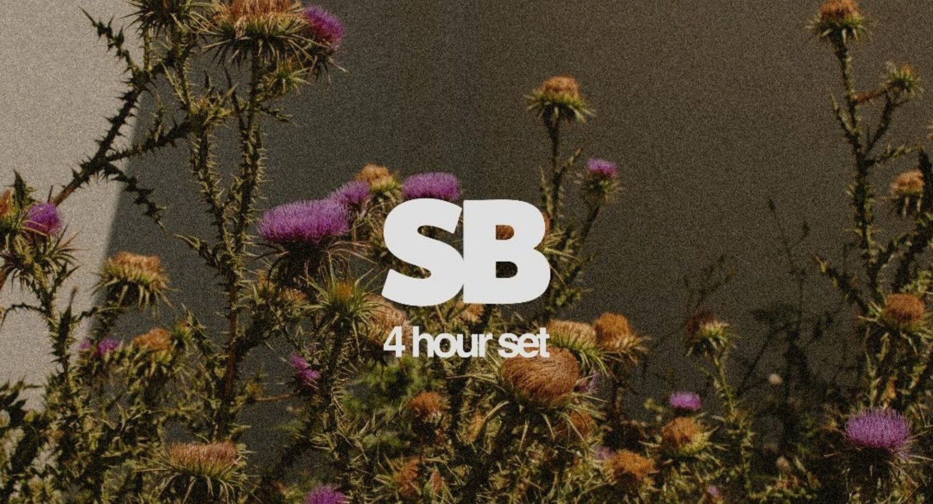 Poster image for DJ SB x Populus Café, with a thistle bush.