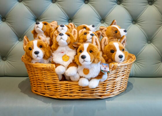 A basket full of Corgi cuddly toys in the Royal Yacht Britannia shop